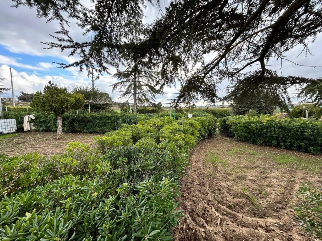 a9ee629f d9af 4bb6 8799 9539052a5ce6