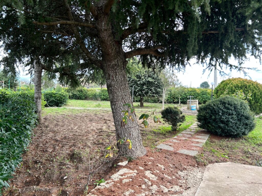 cfb7ec53 3702 4209 8941 64c288282732