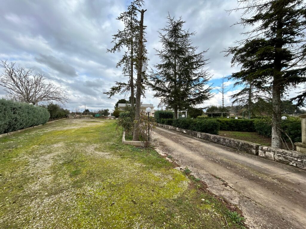 da62dae7 1899 42fc 8a32 ac7be67584f3