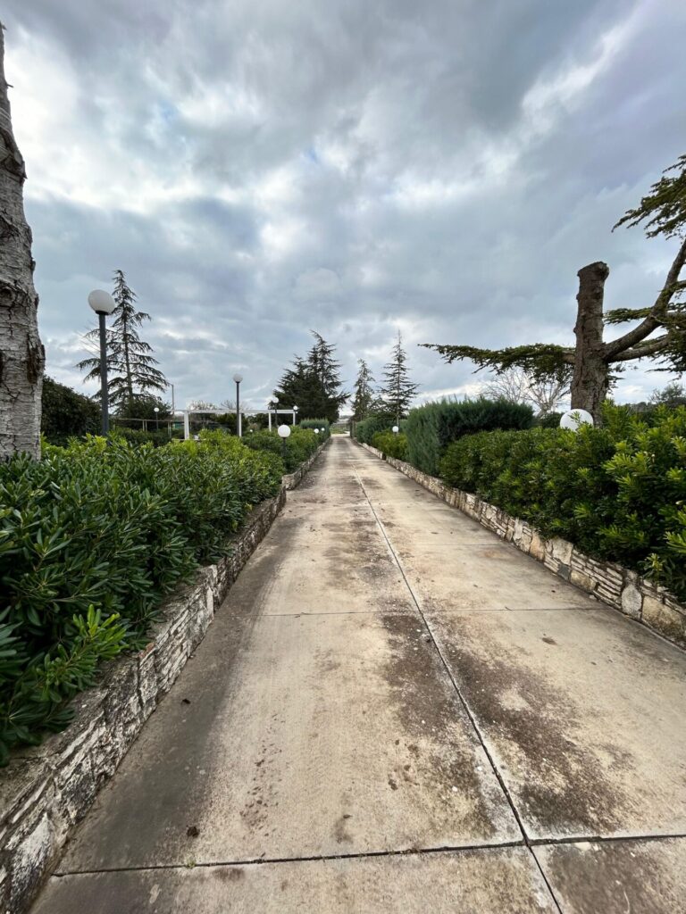 ff944c74 80d5 4264 a1e9 6959985da920